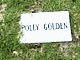 Polly Golden Grave