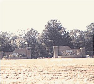 Pollard Cemetery, De Soto Parish Louisiana