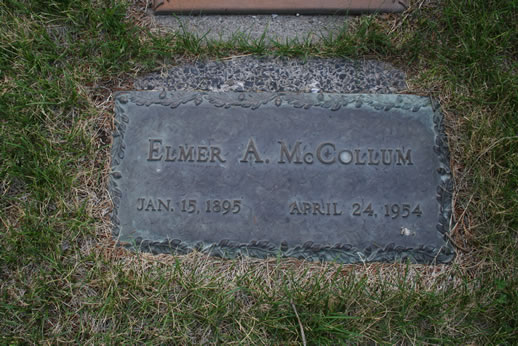 Elmer McCollum Grave