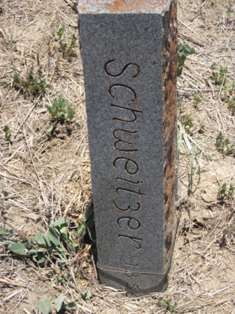 Schweitzer Grave
